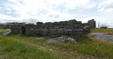 Moradia T2 Venda em Travanca de Lagos,Oliveira do Hospital