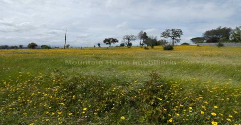 Moradia T2 Venda em Travanca de Lagos,Oliveira do Hospital