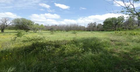 Moradia T2 Venda em Travanca de Lagos,Oliveira do Hospital