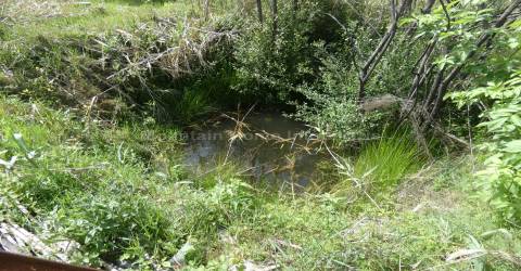 Moradia T2 Venda em Travanca de Lagos,Oliveira do Hospital