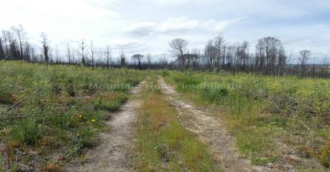 Moradia T2 Venda em Travanca de Lagos,Oliveira do Hospital