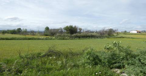 Moradia T2 Venda em Travanca de Lagos,Oliveira do Hospital