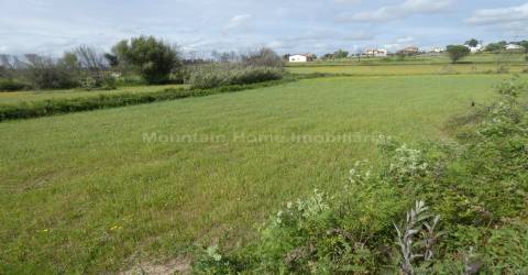 Moradia T2 Venda em Travanca de Lagos,Oliveira do Hospital