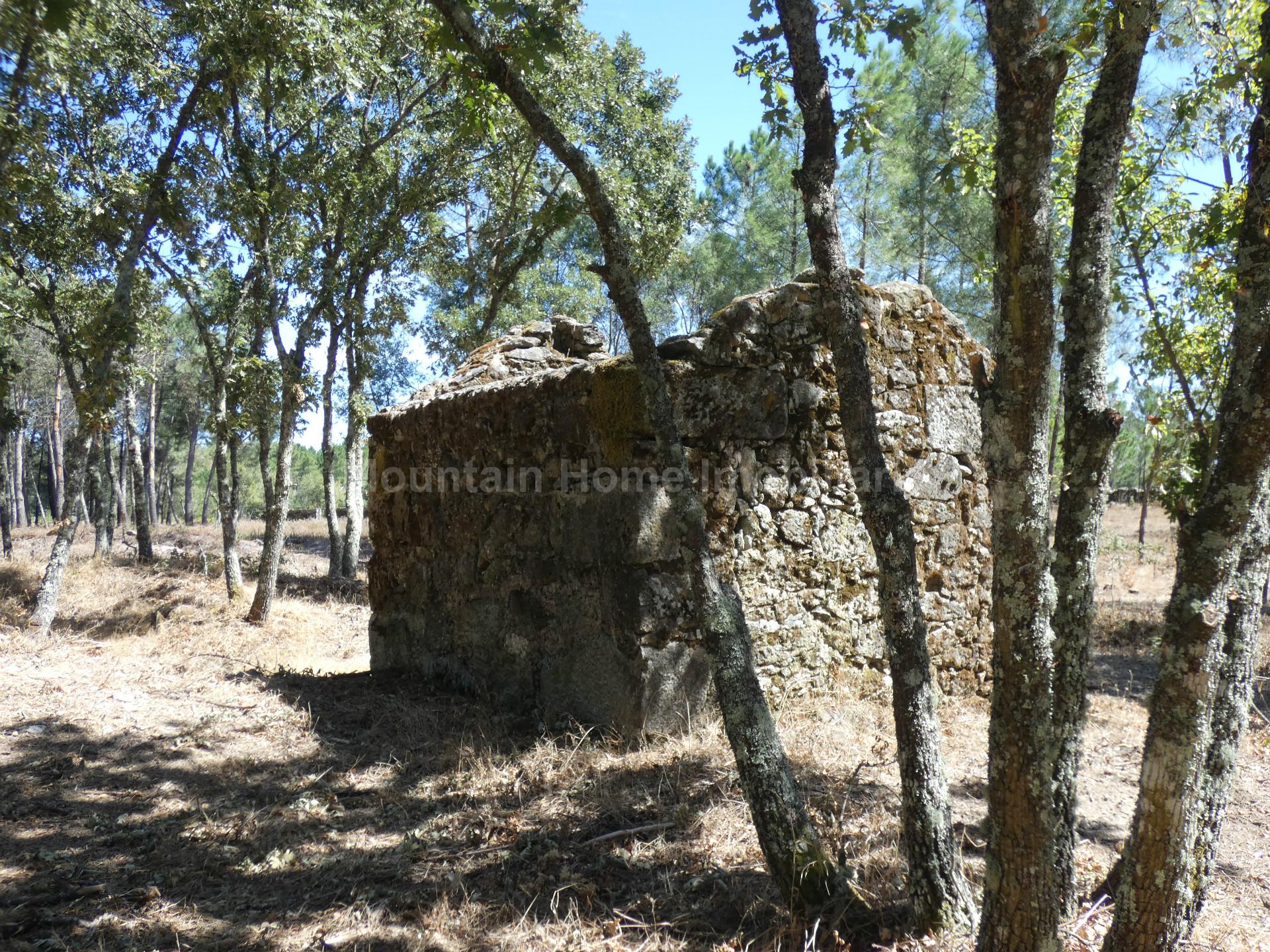 Quinta  Venda em Vila Nova de Tazem,Gouveia