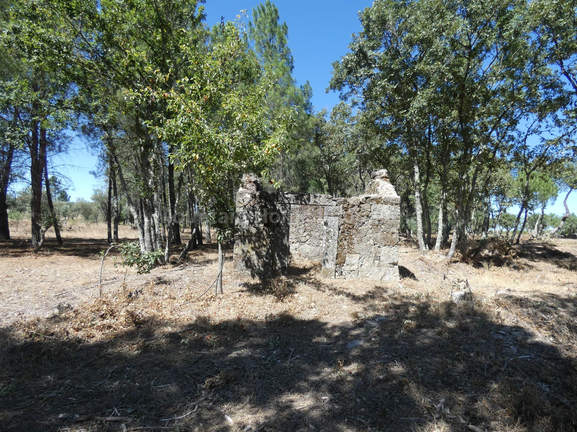 Quinta  Venda em Vila Nova de Tazem,Gouveia