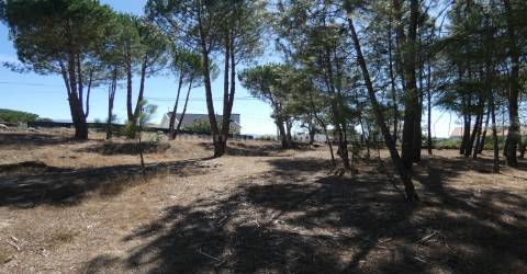 Quinta  Venda em Vila Nova de Tazem,Gouveia