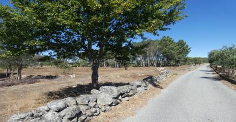 Quinta  Venda em Vila Nova de Tazem,Gouveia