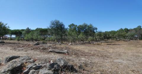 Quinta  Venda em Vila Nova de Tazem,Gouveia