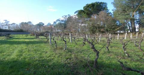 Quinta  Venda em Vila Nova de Tazem,Gouveia