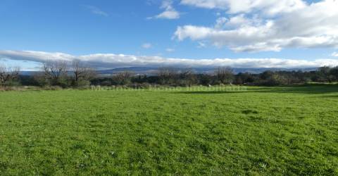 Quinta  Venda em Vila Nova de Tazem,Gouveia