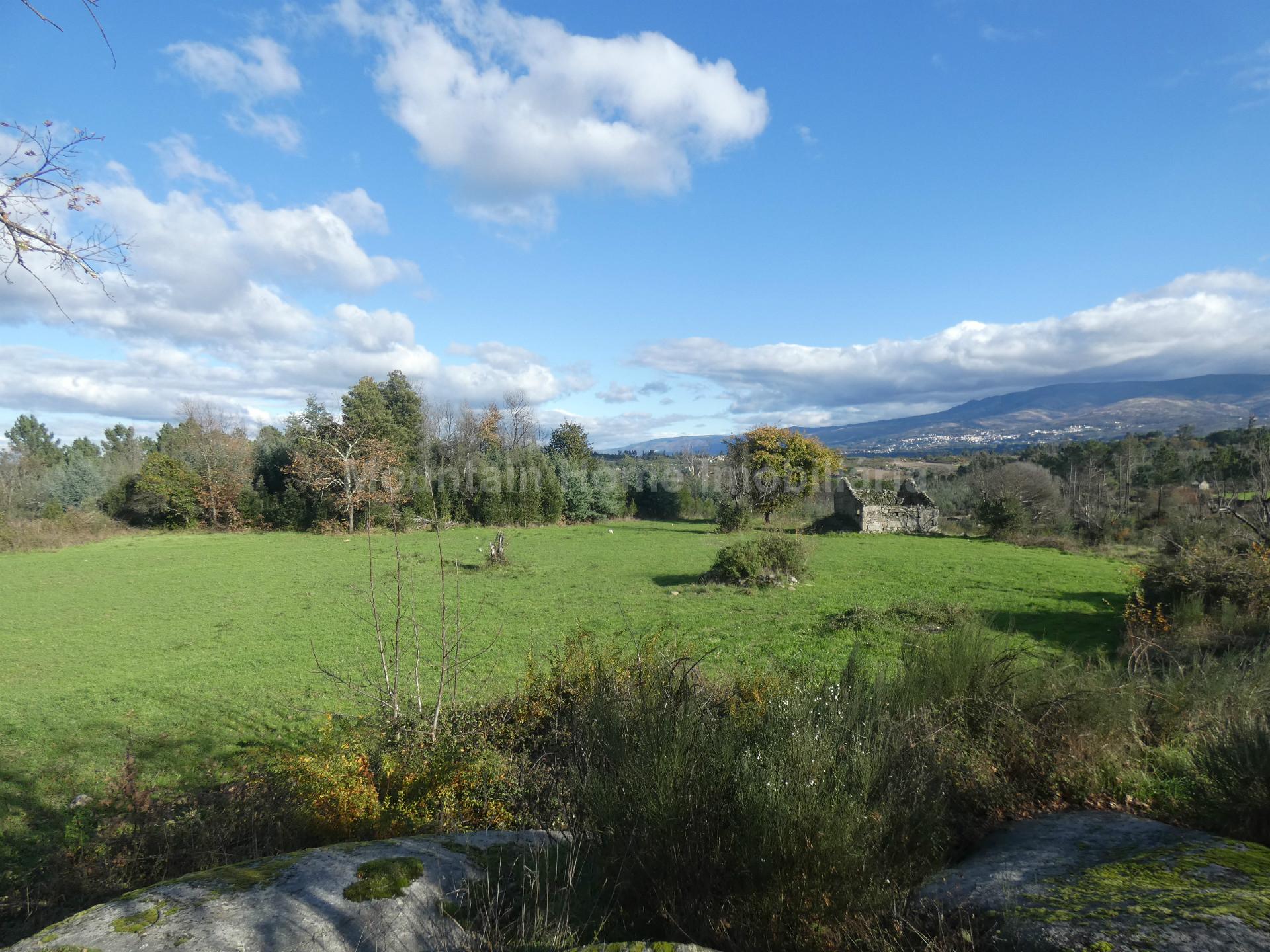 Quinta  Venda em Vila Nova de Tazem,Gouveia