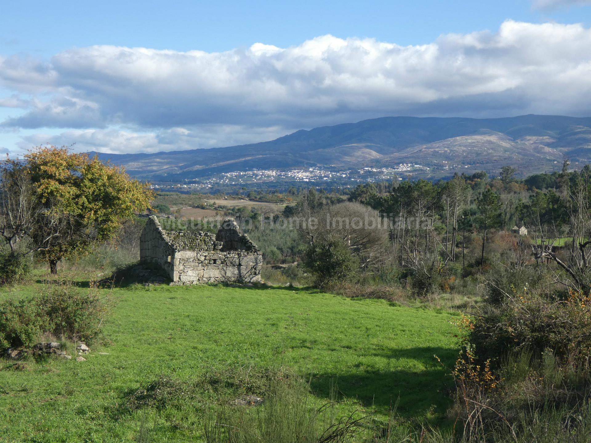 Quinta  Venda em Vila Nova de Tazem,Gouveia