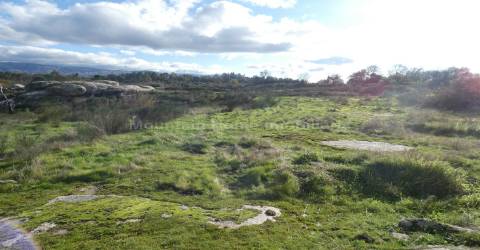 Quinta  Venda em Vila Nova de Tazem,Gouveia