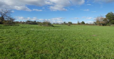 Quinta  Venda em Vila Nova de Tazem,Gouveia