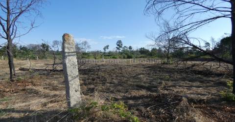 Quintinha  Venda em Paços da Serra,Gouveia