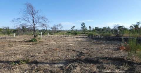 Quintinha  Venda em Paços da Serra,Gouveia