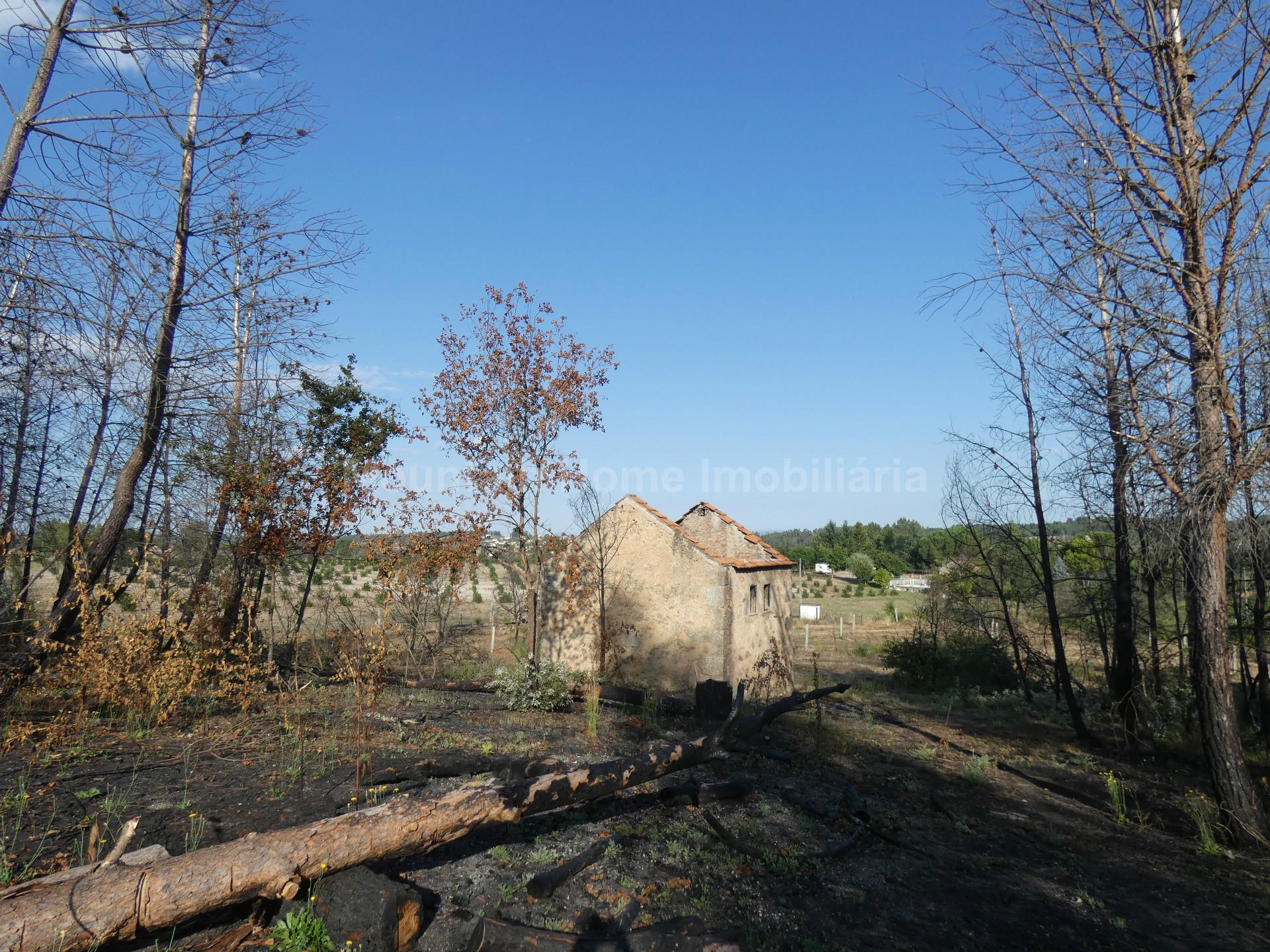 Quintinha  Venda em Paços da Serra,Gouveia