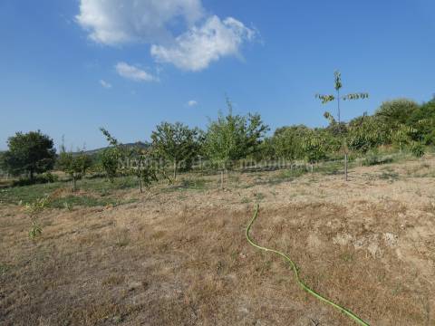 Moradia T3 Venda em Linhares,Celorico da Beira