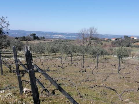 Moradia T3 Venda em Linhares,Celorico da Beira