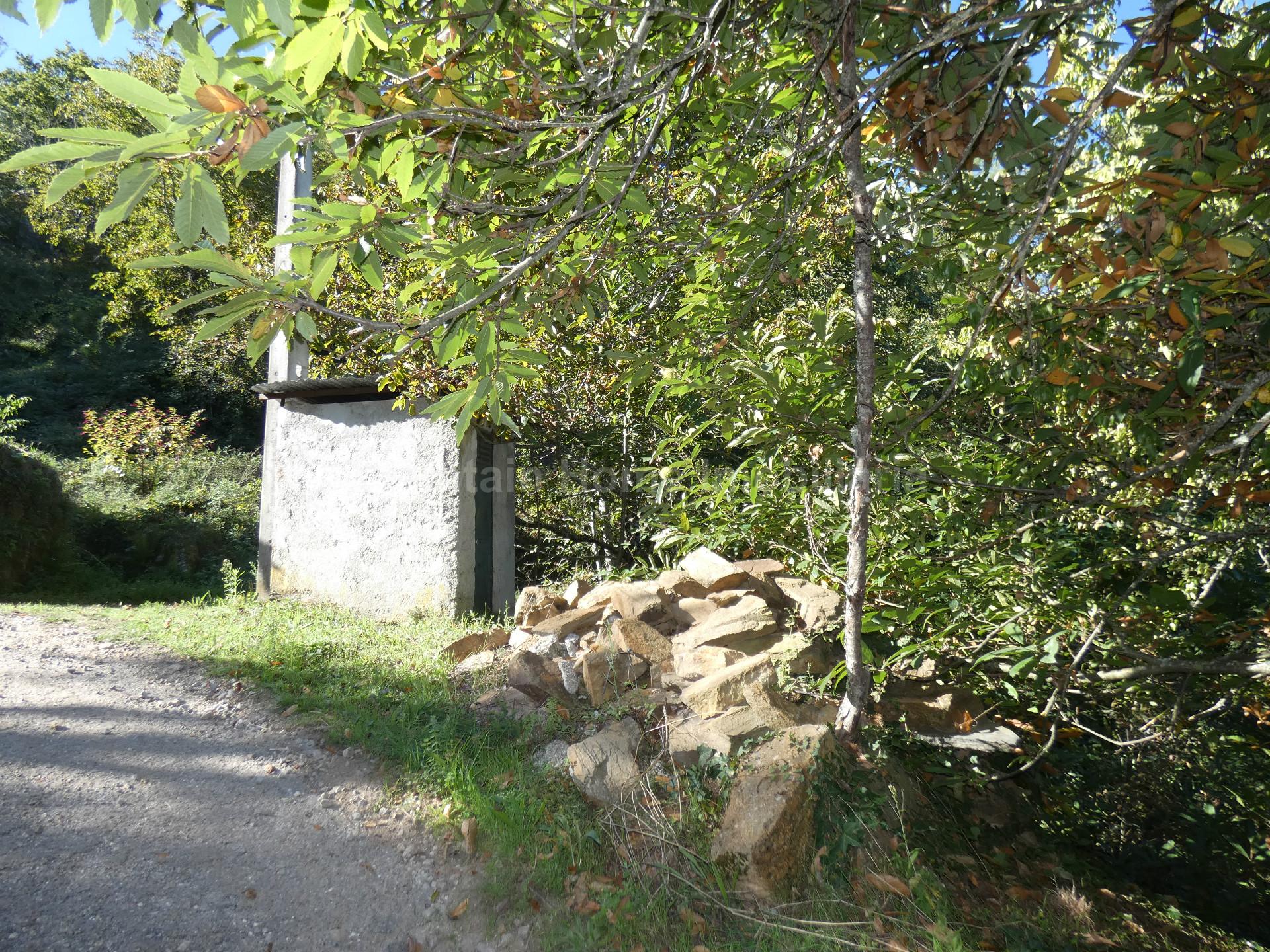 Quinta  Venda em Sandomil,Seia