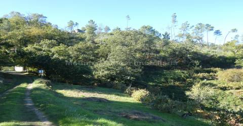 Quinta  Venda em Sandomil,Seia