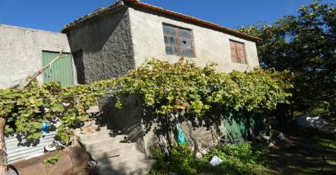 Quinta  Venda em Sandomil,Seia