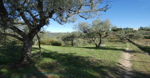 Quinta  Venda em Sandomil,Seia