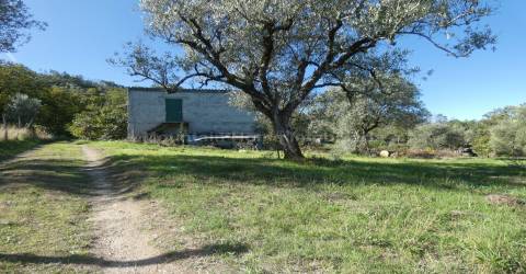 Quinta  Venda em Sandomil,Seia