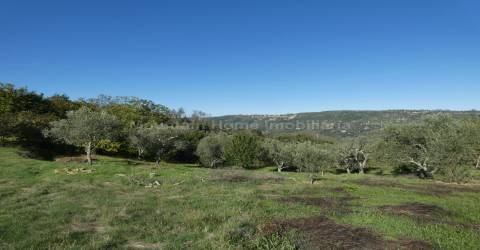 Quinta  Venda em Sandomil,Seia