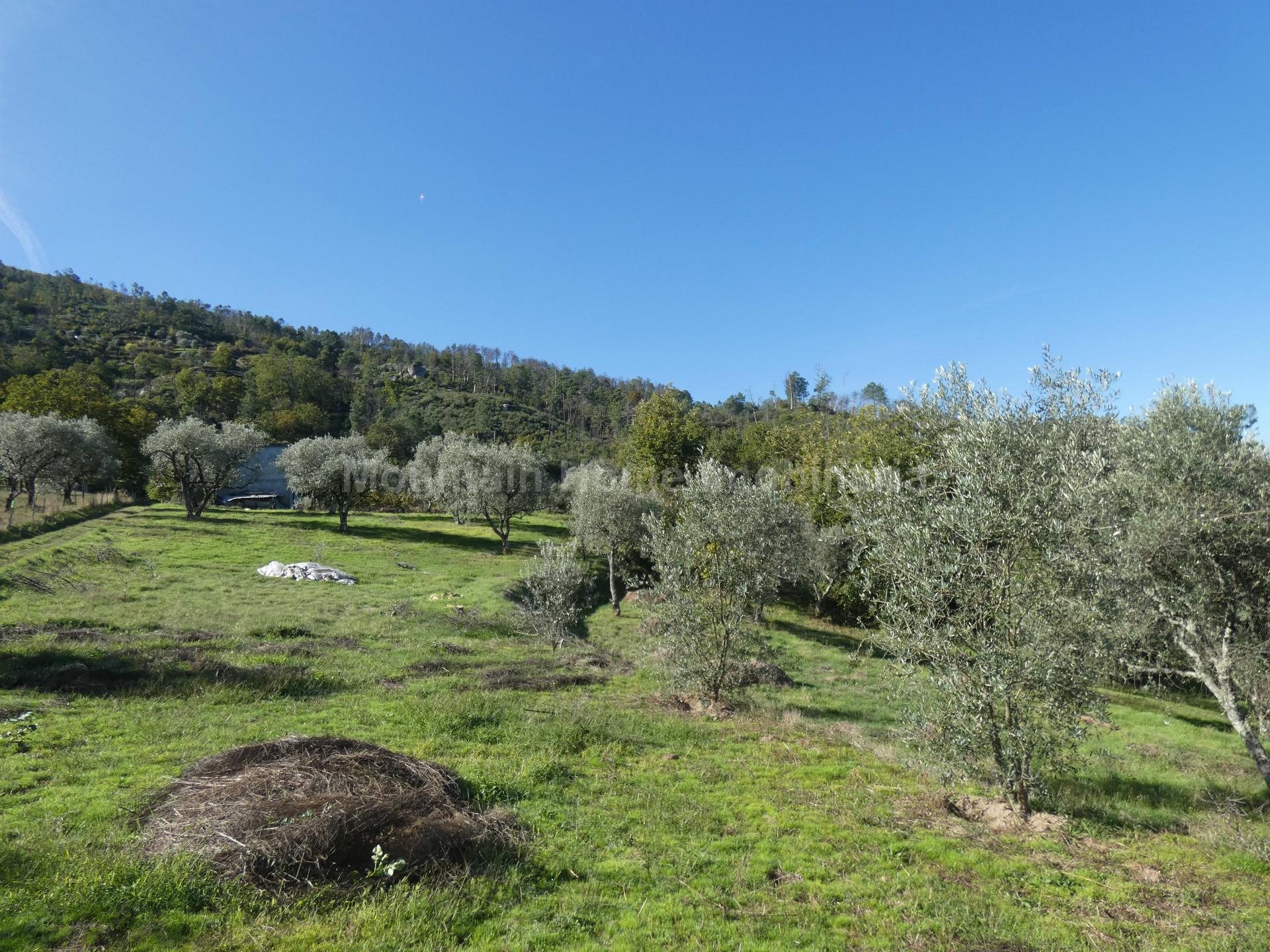 Quinta  Venda em Sandomil,Seia