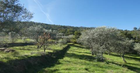 Quinta  Venda em Sandomil,Seia