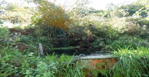 Quinta  Venda em Sandomil,Seia