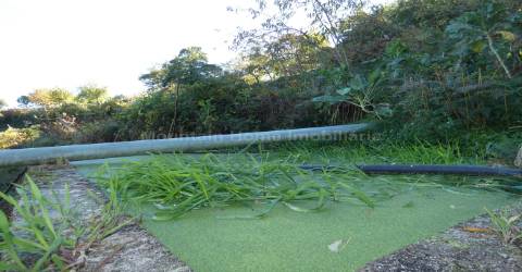Quinta  Venda em Sandomil,Seia