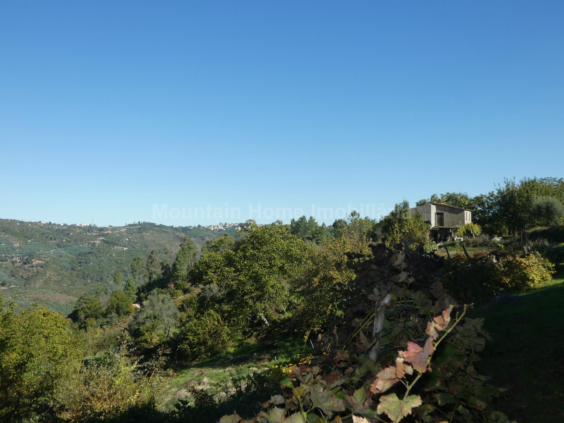 Quinta  Venda em Sandomil,Seia