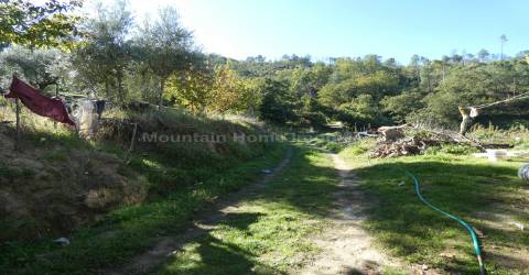 Quinta  Venda em Sandomil,Seia