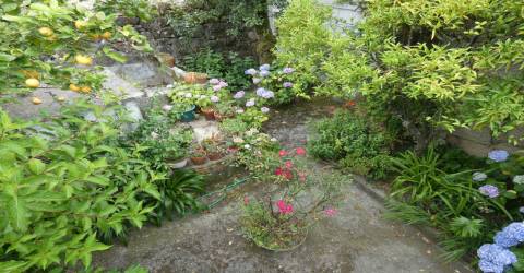 Moradia T7 Venda em Paranhos,Seia