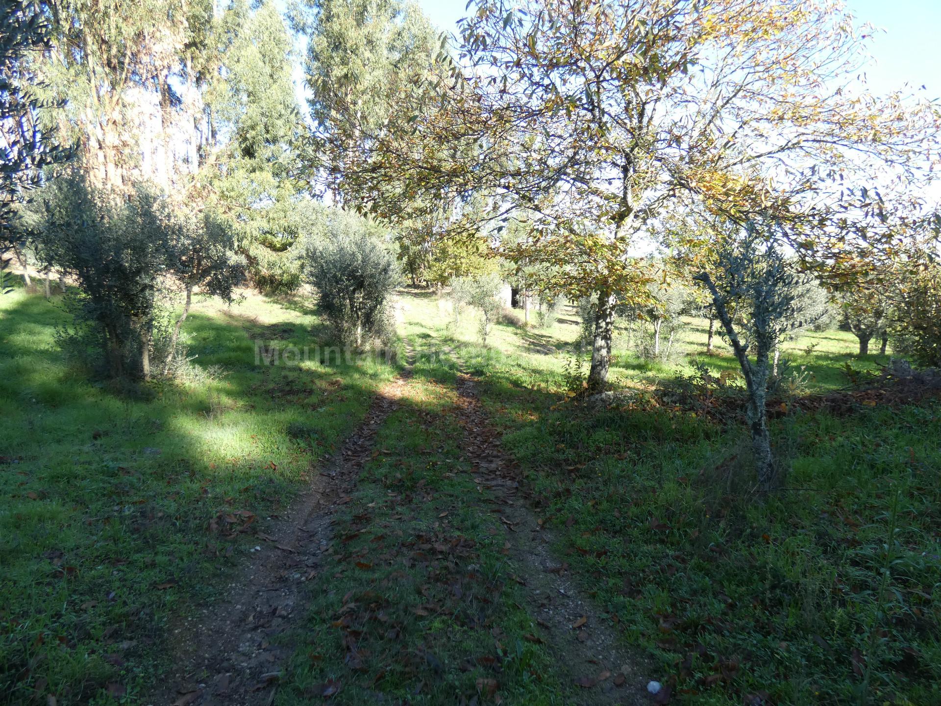 Quintinha  Venda em Nespereira,Gouveia