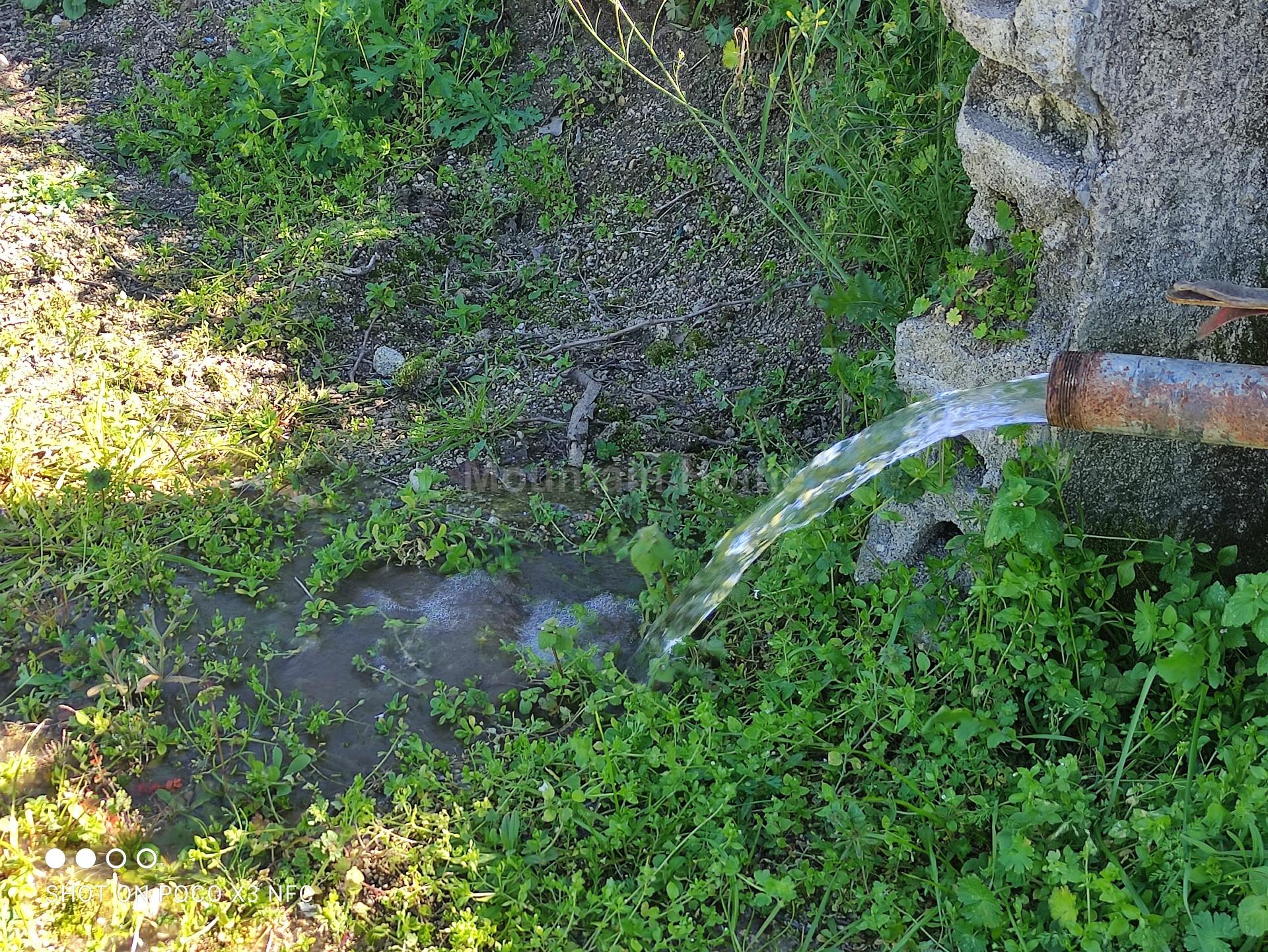 Quinta  Venda em Carrapichana,Celorico da Beira