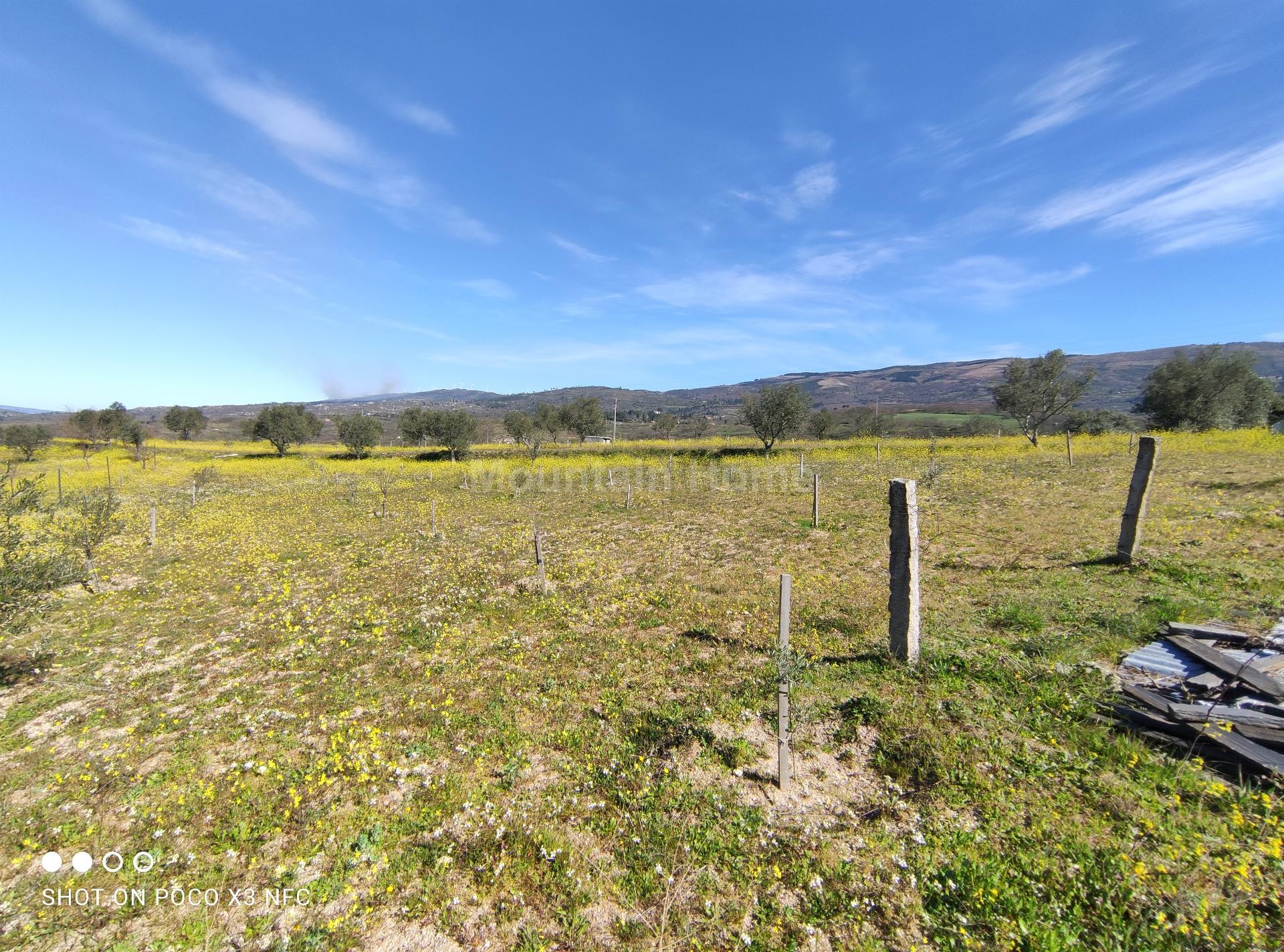 Quinta  Venda em Carrapichana,Celorico da Beira