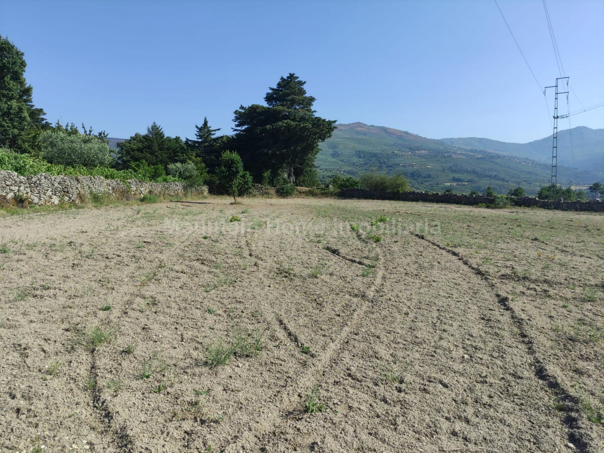 Terreno Rústico  Venda em Figueiró da Serra e Freixo da Serra,Gouveia