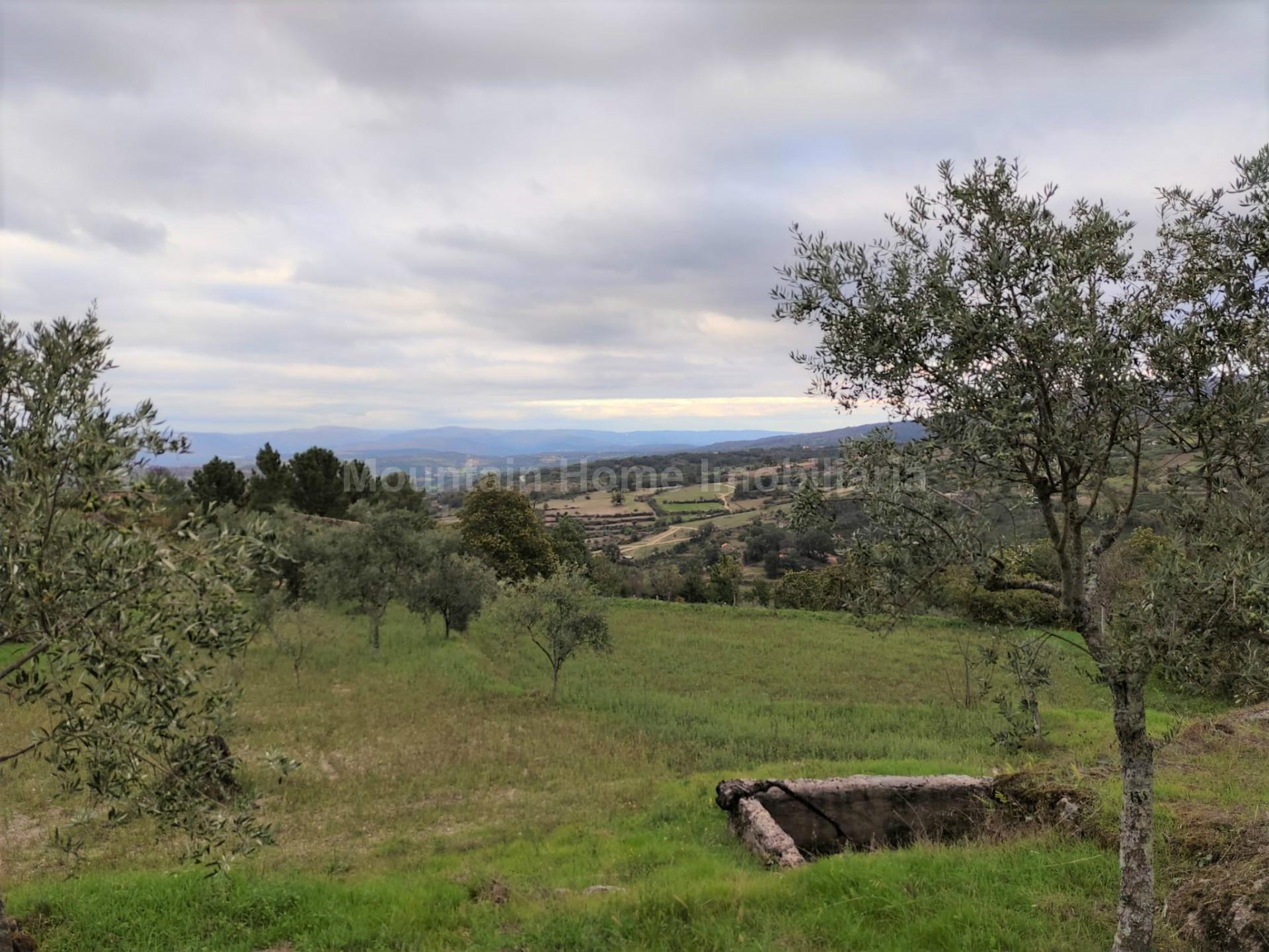 Quintinha  Venda em Figueiró da Serra e Freixo da Serra,Gouveia