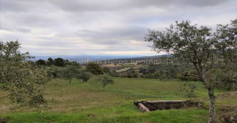 Quintinha  Venda em Figueiró da Serra e Freixo da Serra,Gouveia