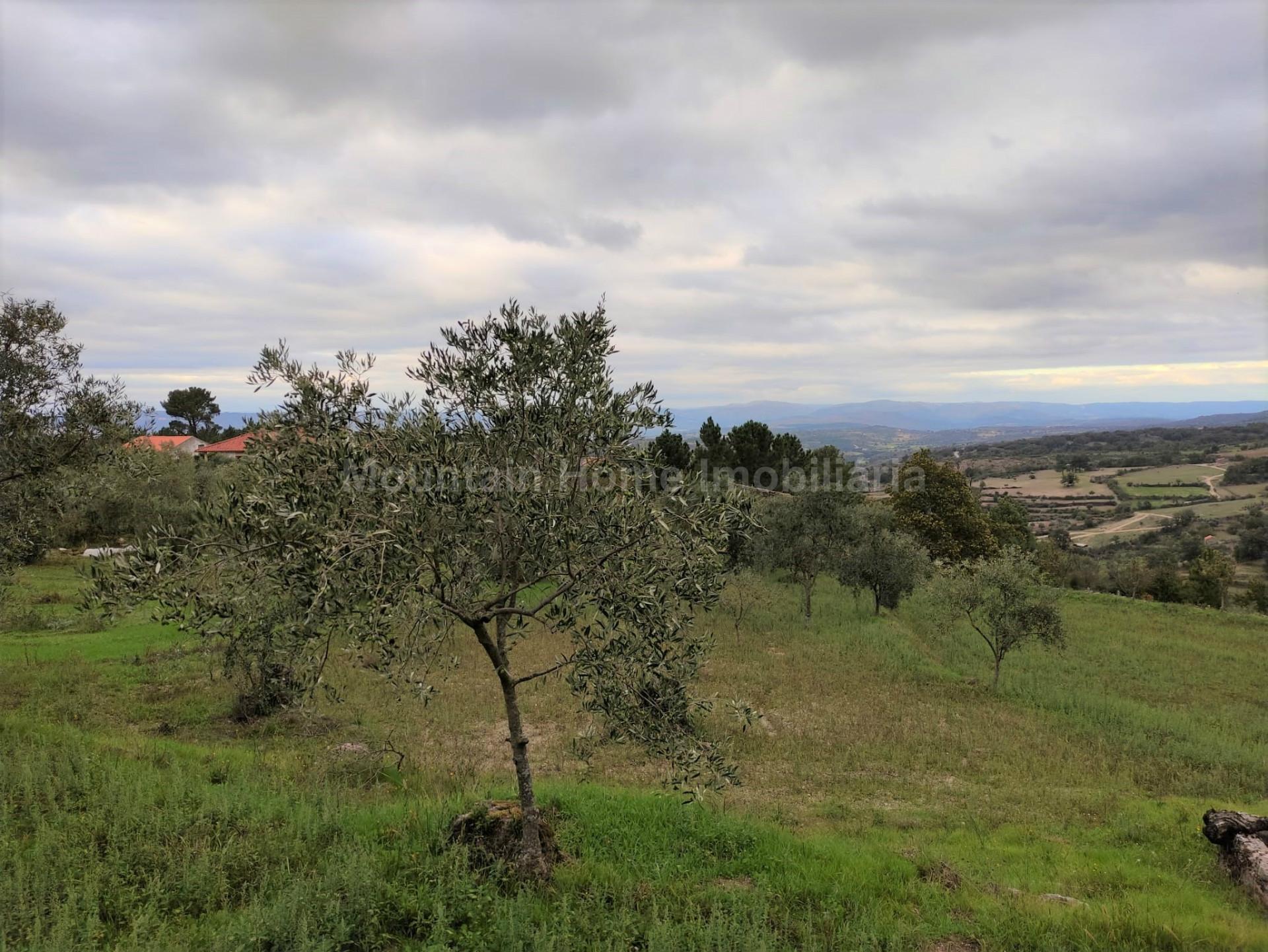 Quintinha  Venda em Figueiró da Serra e Freixo da Serra,Gouveia