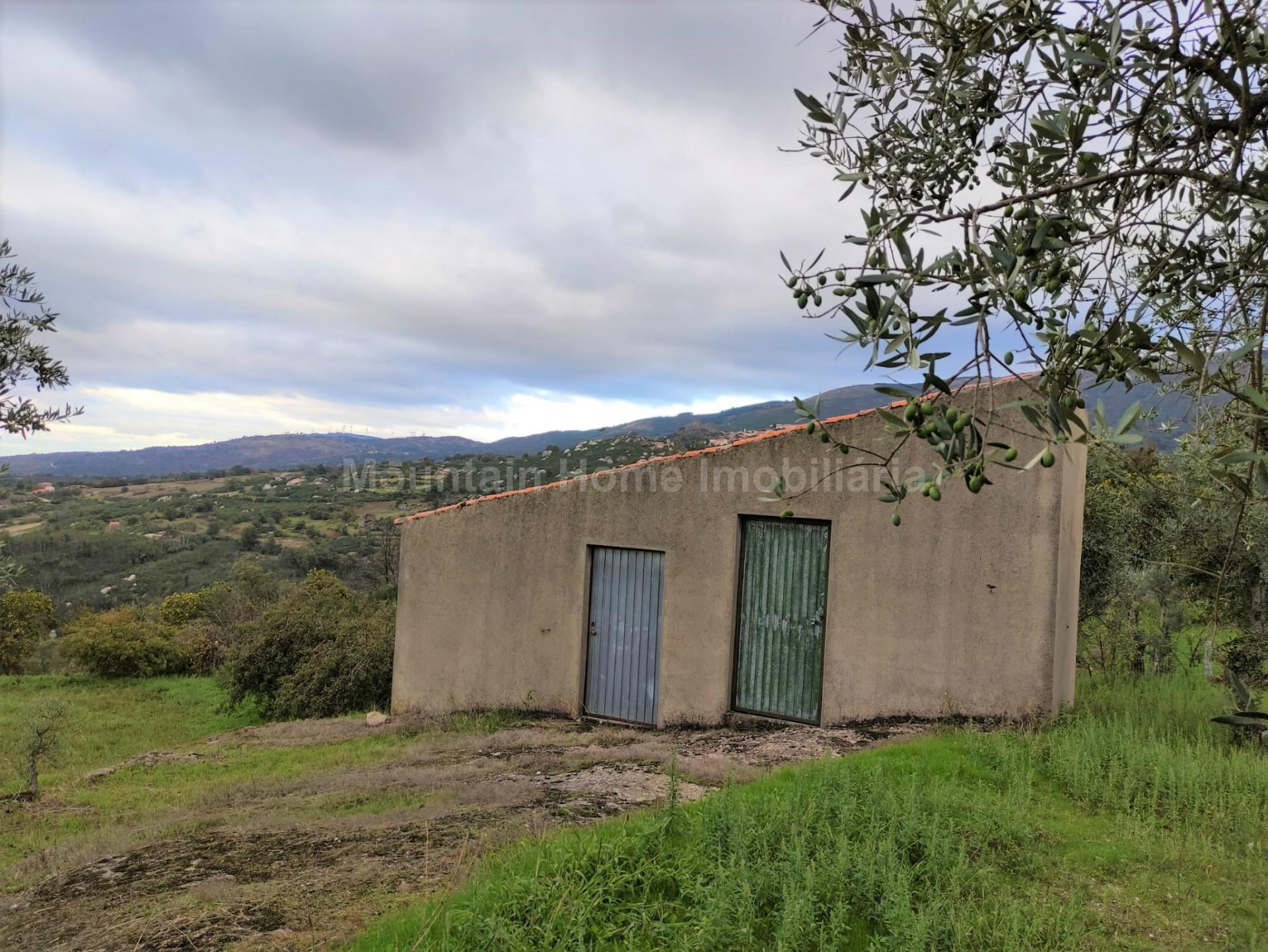 Quintinha  Venda em Figueiró da Serra e Freixo da Serra,Gouveia