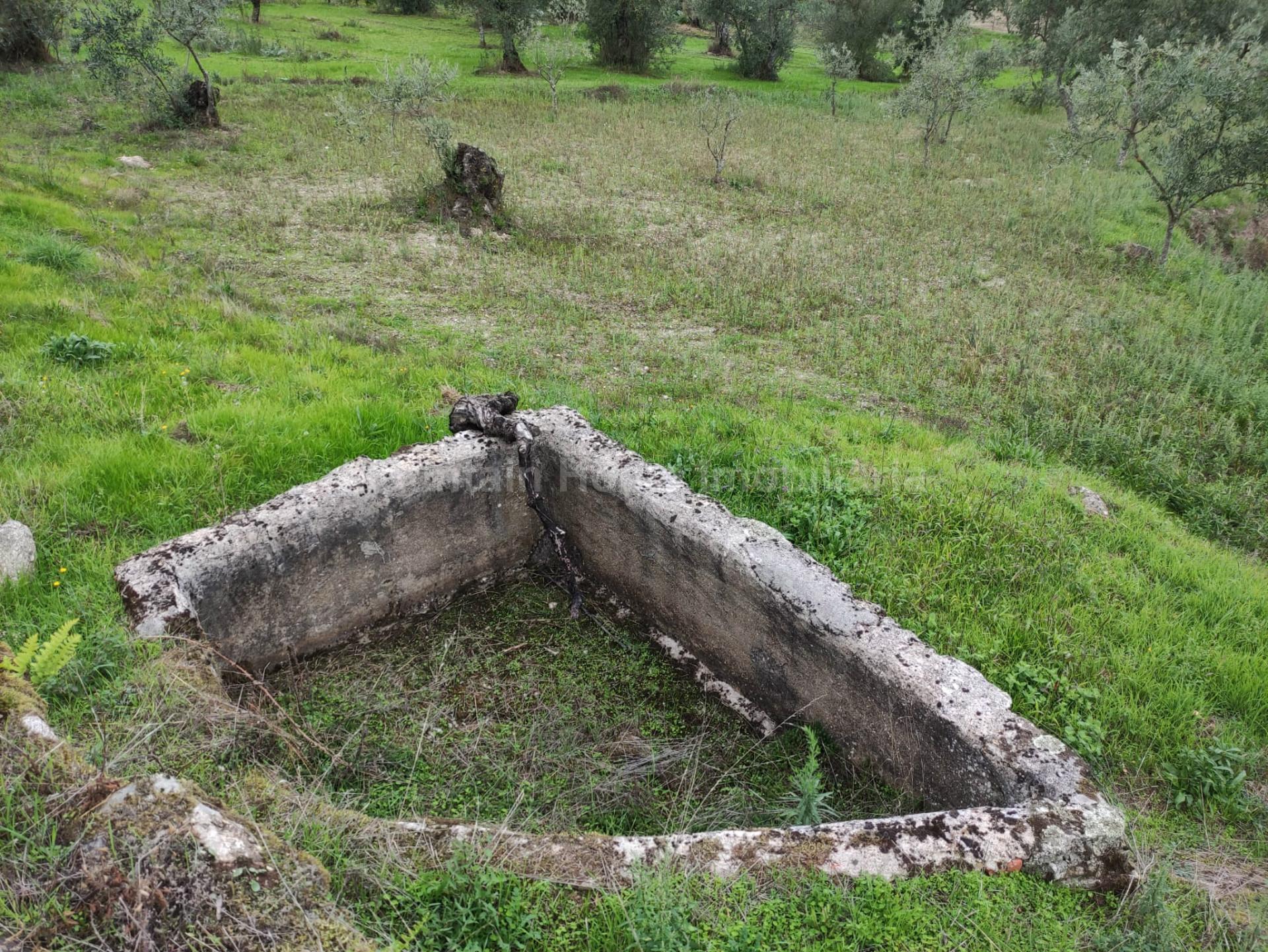 Quintinha  Venda em Figueiró da Serra e Freixo da Serra,Gouveia