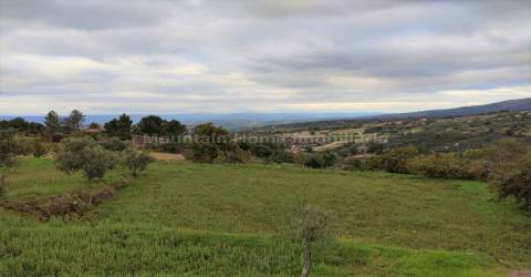 Quintinha  Venda em Figueiró da Serra e Freixo da Serra,Gouveia