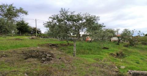 Quintinha  Venda em Figueiró da Serra e Freixo da Serra,Gouveia