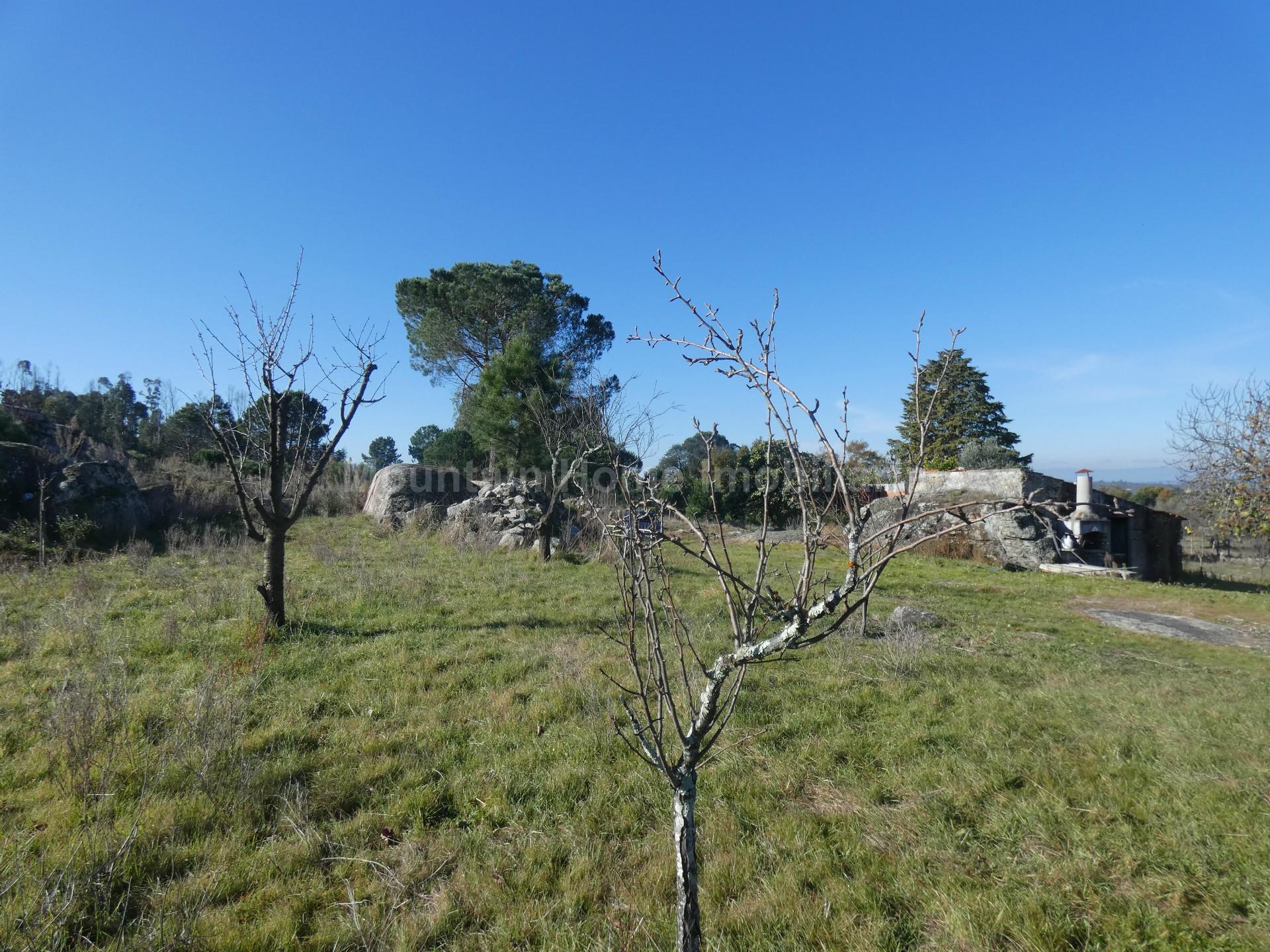 Quinta  Venda em Paranhos,Seia