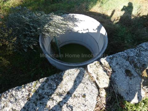 Quinta  Venda em Paranhos,Seia