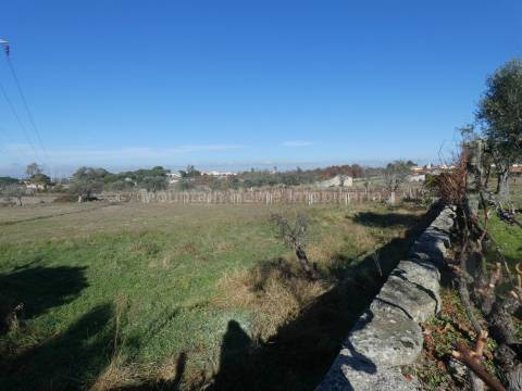 Quinta  Venda em Paranhos,Seia